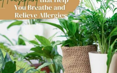 Title-Houseplant that Help You Breathe and Relieve Allergies
