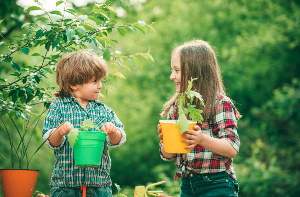 Plants For Kids, 7 Gifts