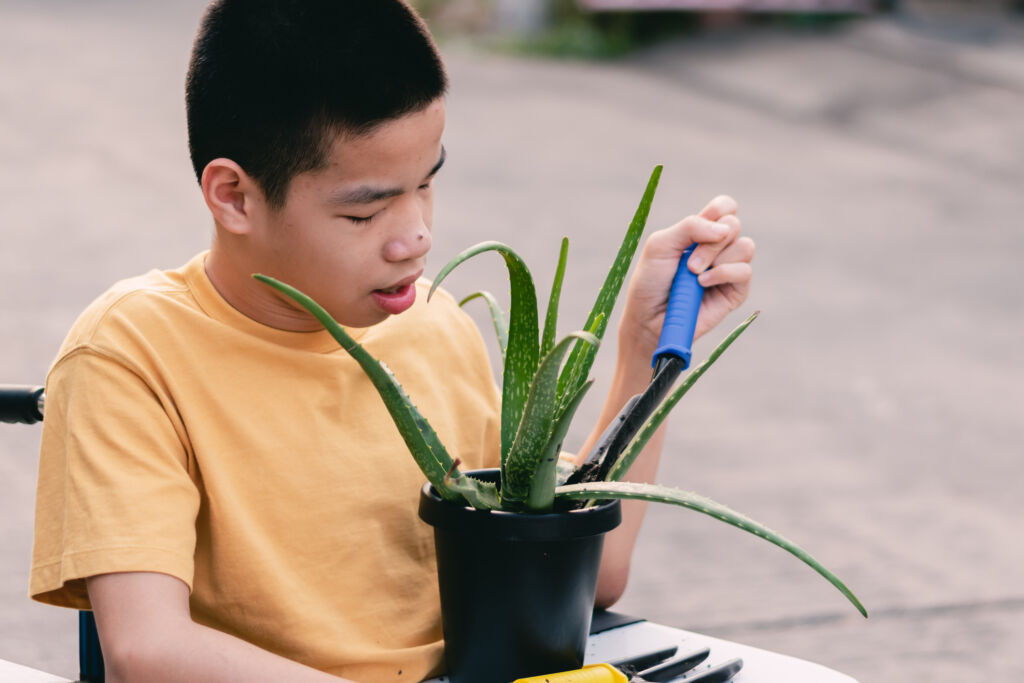 plants for kids