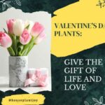 Title-Valentine's Day Plants Give the Gift of Life and Love