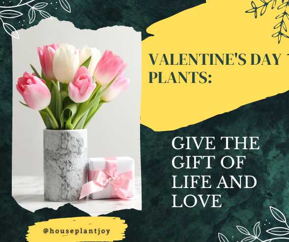 Title-Valentine's Day Plants Give the Gift of Life and Love