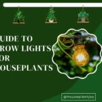 Title-Guide to Grow Lights for Houseplants