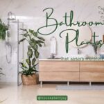 Title-Bathroom Plants That Absorb Moisture