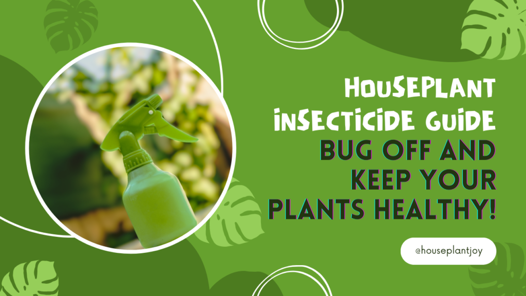 Houseplant Insecticide Guide: Bug Off and Keep Your Plants Healthy!