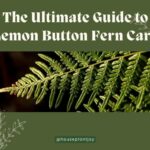 Title-The Ultimate Guide to Lemon Button Fern Care