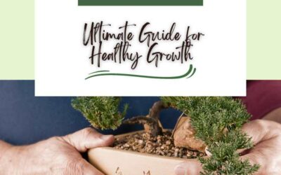 Title-Fertilizing Bonsai Trees Ultimate Guide for Healthy Growth