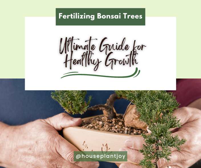Fertilizing Bonsai Trees: Ultimate Guide for Healthy Growth