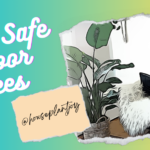 pet safe indoor trees