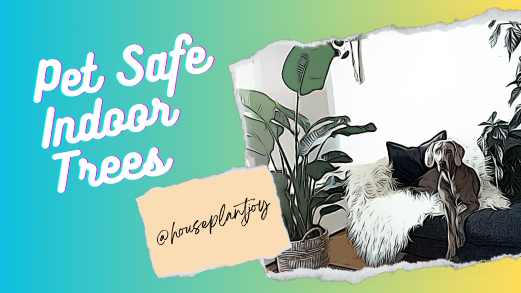pet safe indoor trees