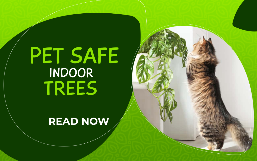 Pet Safe Indoor Trees: A Guide to Risk-Free Home Decor