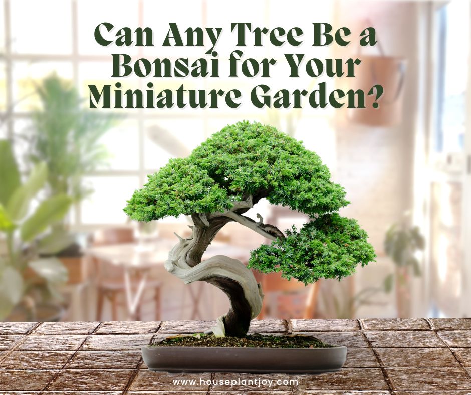 Can Any Tree Be a Bonsai for Your Miniature Garden?