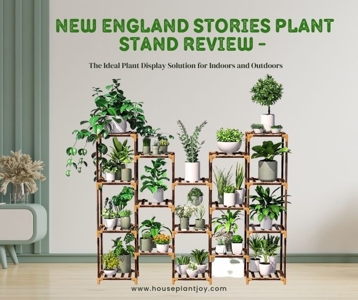 Title-New England Stories Plant Stand Review - The Ideal Plant Display Solution for Indoors and Outdoors