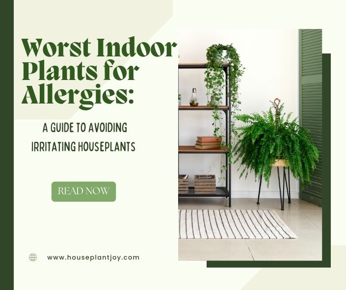 Worst Indoor Plants for Allergies: A Guide to Avoiding Irritating Houseplants