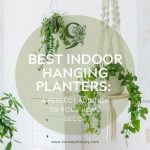 9 Best Indoor Hanging Planters A Perfect Addition to Your Home Decor