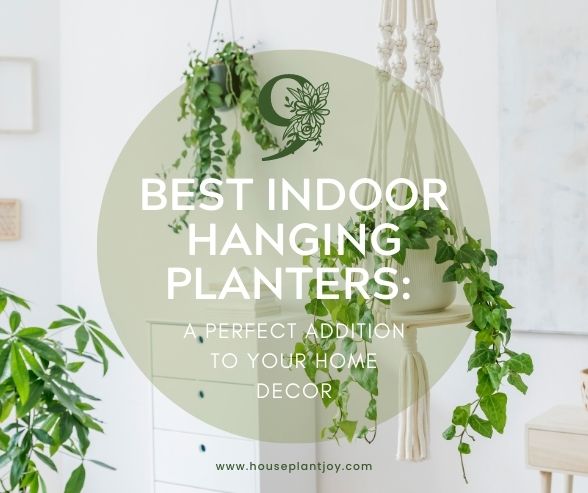 9 Best Indoor Hanging Planters: A Perfect Addition to Your Home Decor