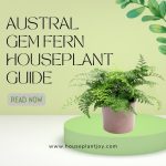 Austral Gem Fern Houseplant Guide