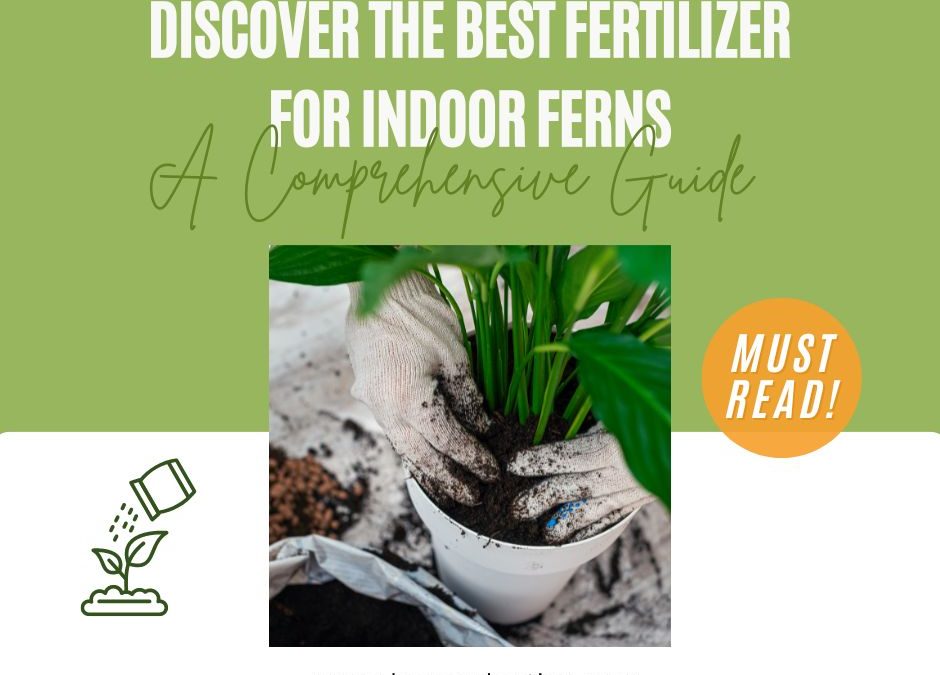 Discover the Best Fertilizer for Indoor Ferns: A Comprehensive Guide