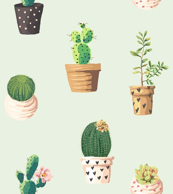 cactus, plants, pots