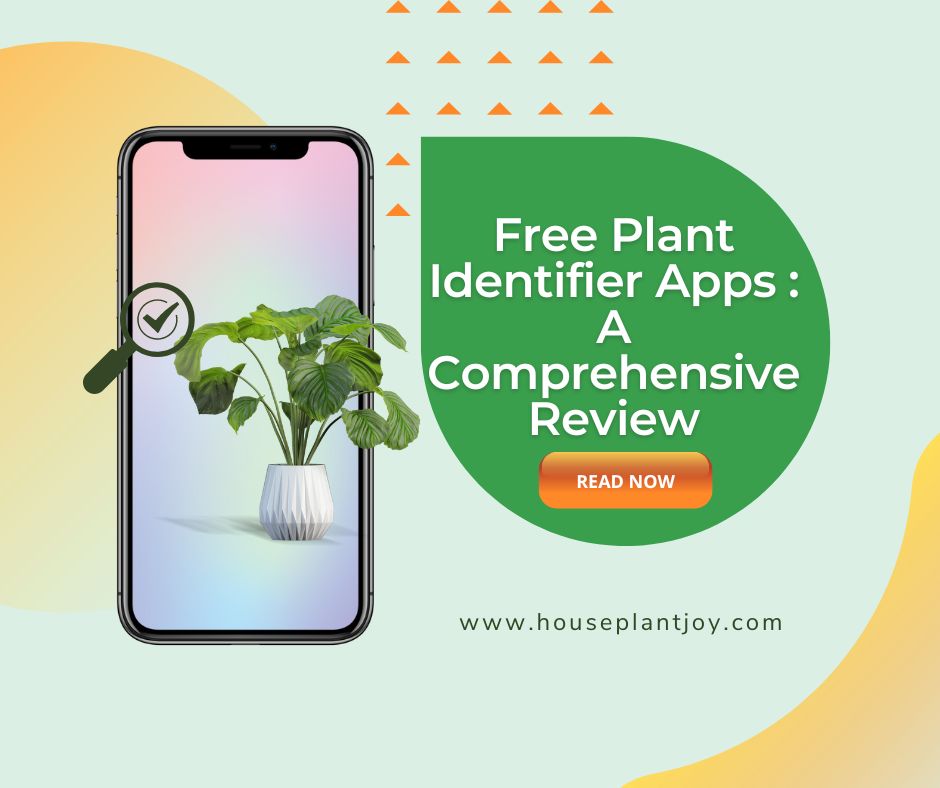 Free Plant Identifier Apps A Comprehensive Review