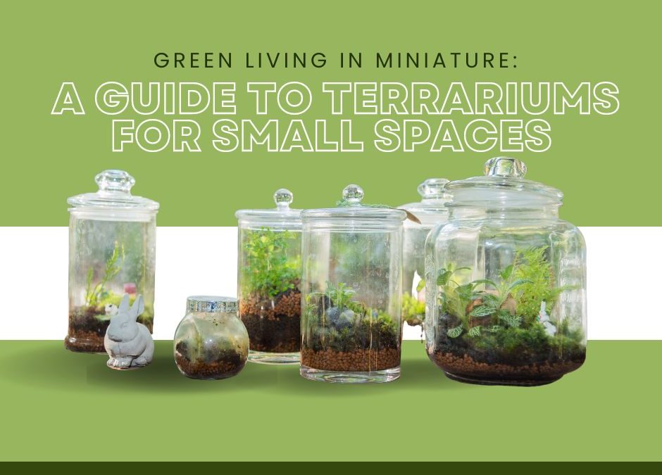 Green Living in Miniature: A Guide to Terrariums for Small Spaces