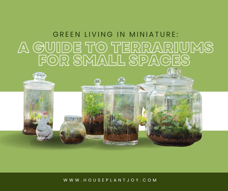 Green Living in Miniature A Guide to Terrariums for Small Spaces