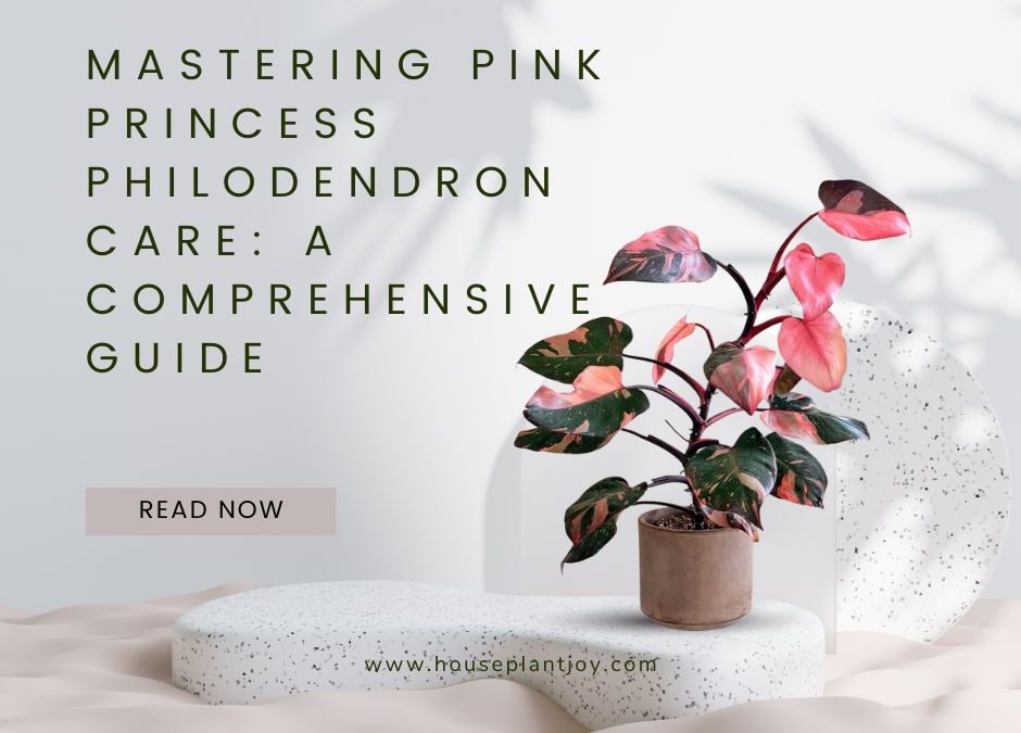 Mastering Pink Princess Philodendron Care: A Comprehensive Guide