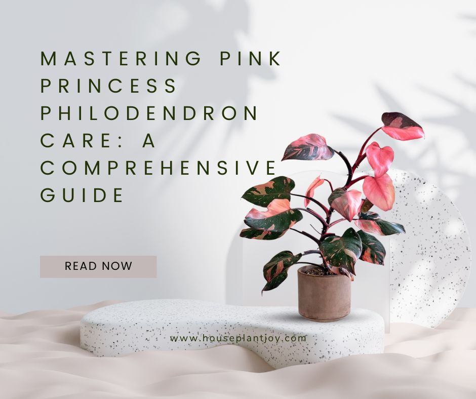 Mastering Pink Princess Philodendron Care A Comprehensive Guide