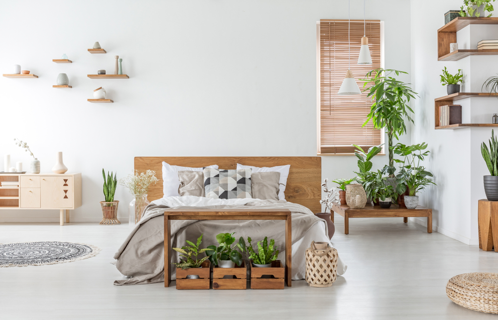 plants for bedroom air quality