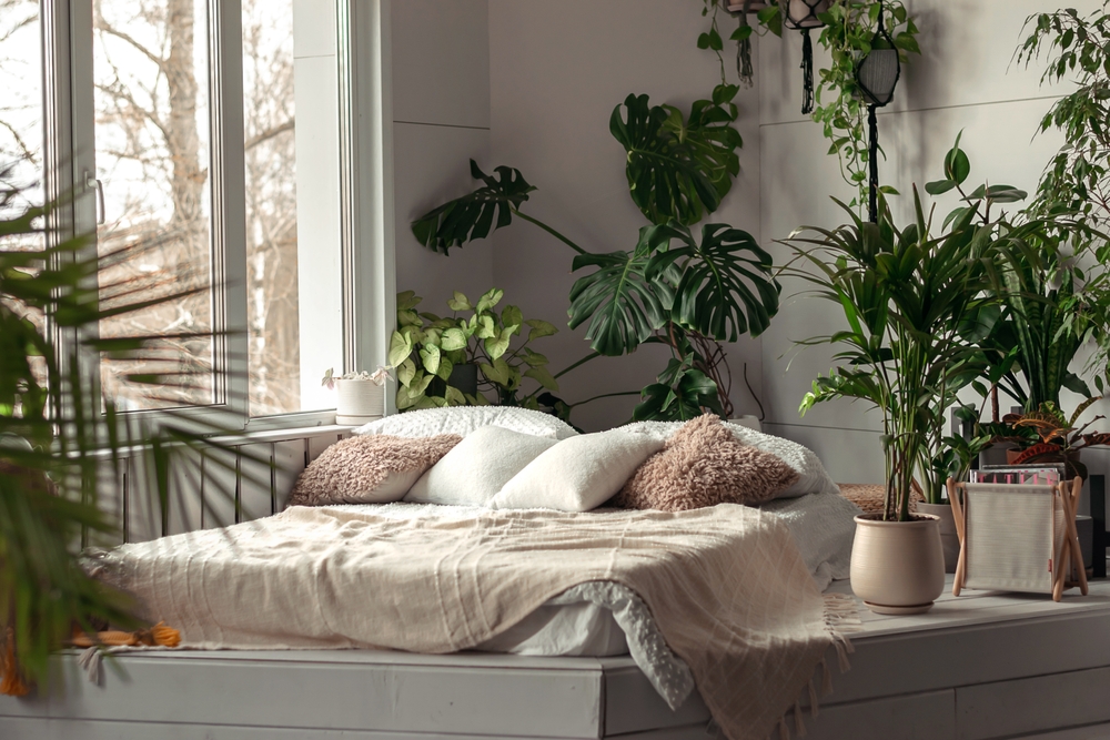 plants for bedroom air quality