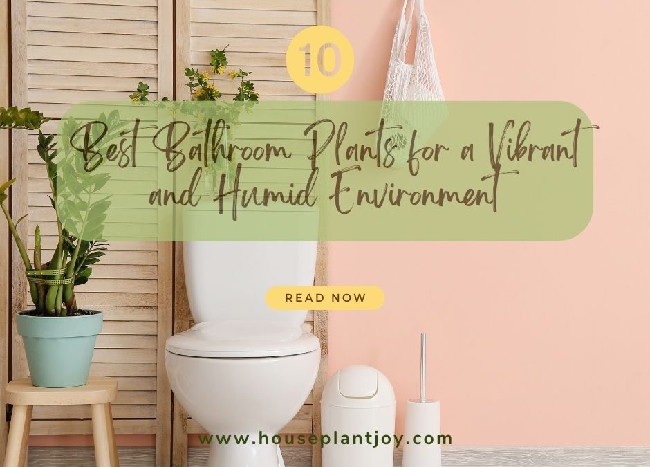 10 Best Bathroom Plants for a Vibrant and Humid Environment