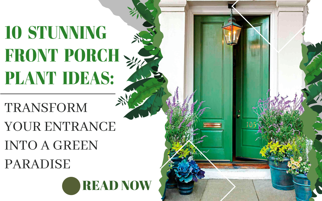 10 Stunning Front Porch Plant Ideas: Transform Your Entrance into a Green Paradise