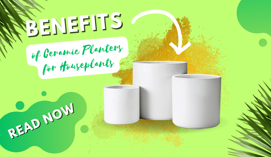 Benefits of Ceramic Planters for Houseplants