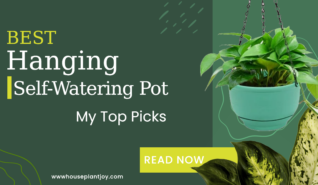 Best Hanging Self-Watering Pot: My Top Picks