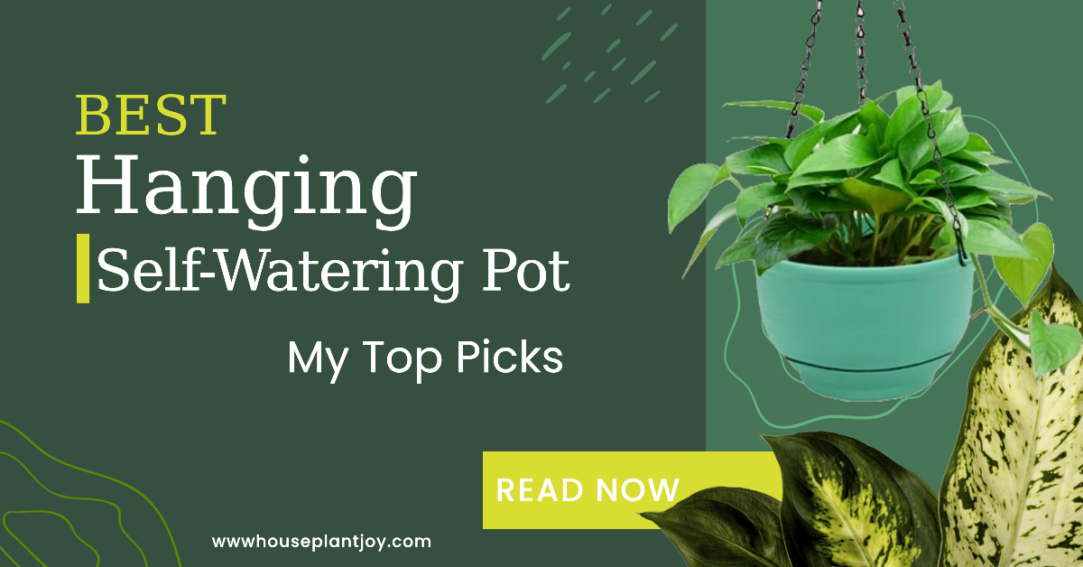 hanging self watering pot