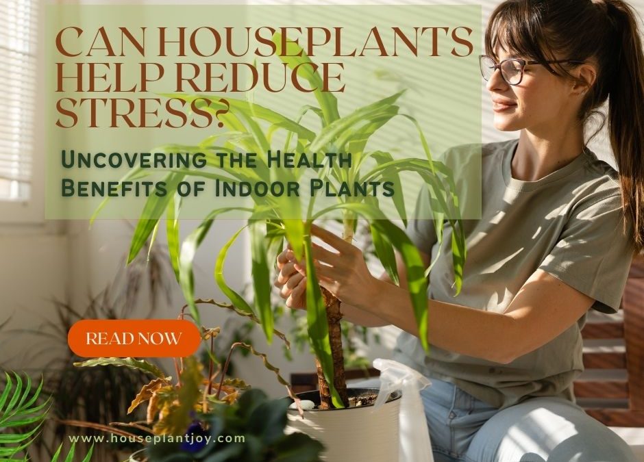 Can Houseplants Help Reduce Stress? Uncovering the Health Benefits of Indoor Plants