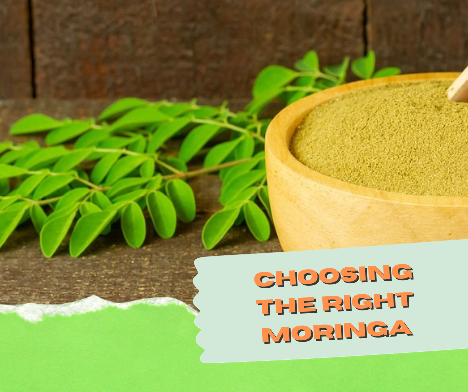 Choosing the Right Moringa