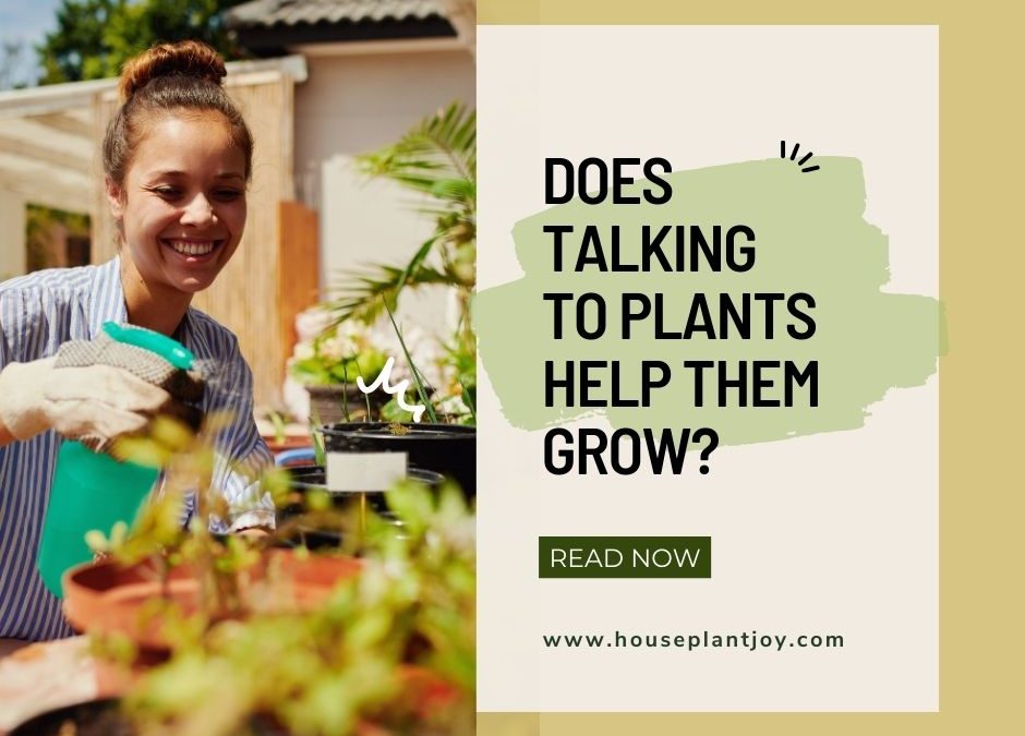 Does Talking to Plants Help Them Grow?