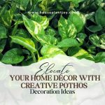 Elevate Your Home Décor with Creative Pothos Decoration Ideas