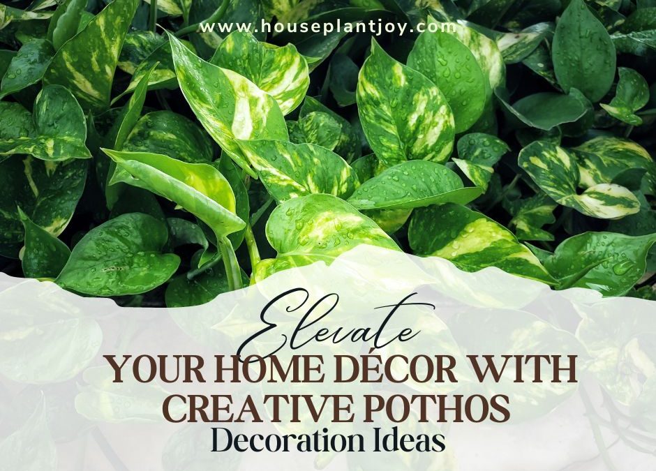 Elevate Your Home Décor with Creative Pothos Decoration Ideas