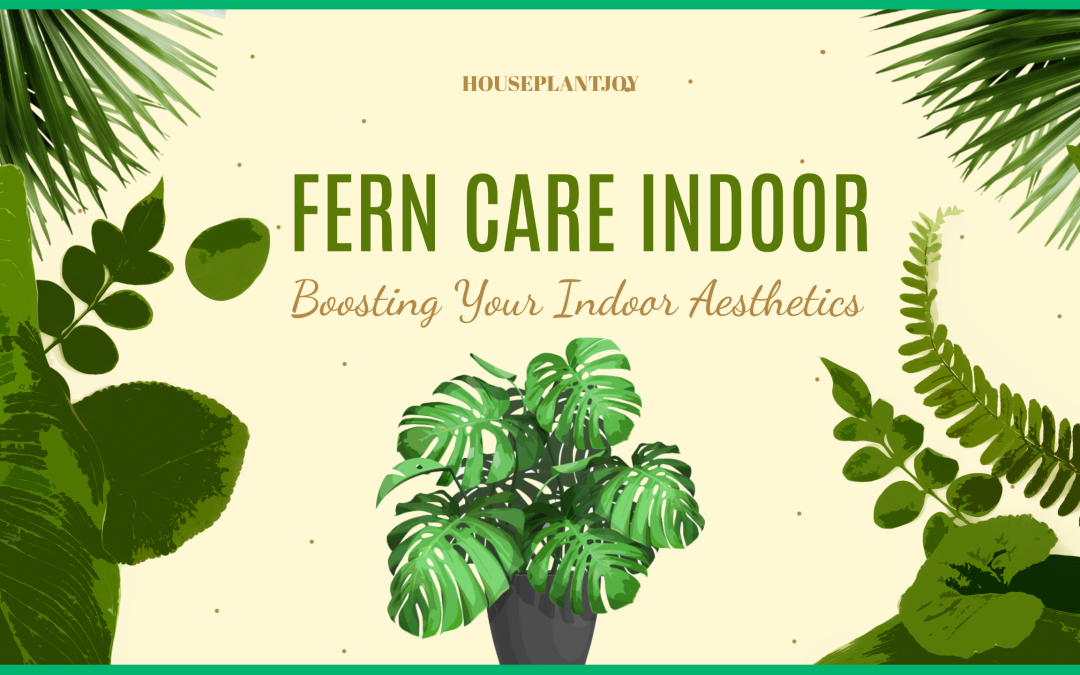 Fern Care Indoor: Boosting Your Indoor Aesthetics