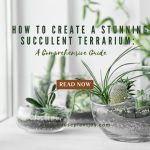 How to Create a Stunning Succulent Terrarium A Comprehensive Guide