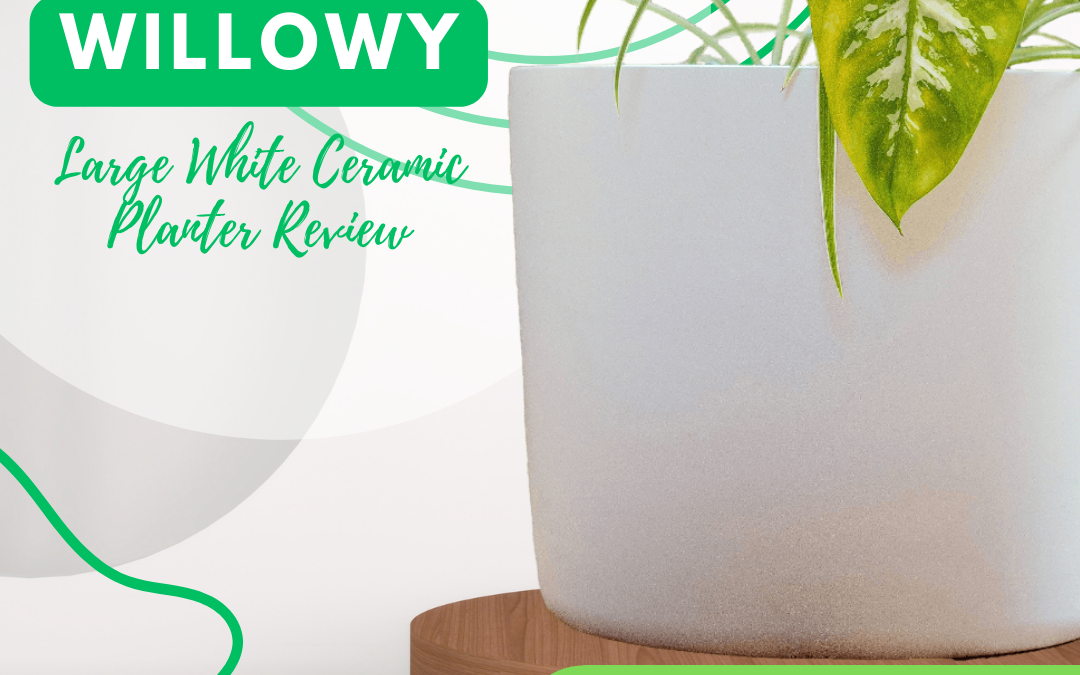 Willowy Large White Ceramic Planter Review