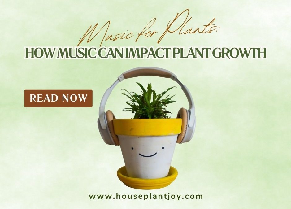 Music for Plants: How Music Can Impact Plant Growth