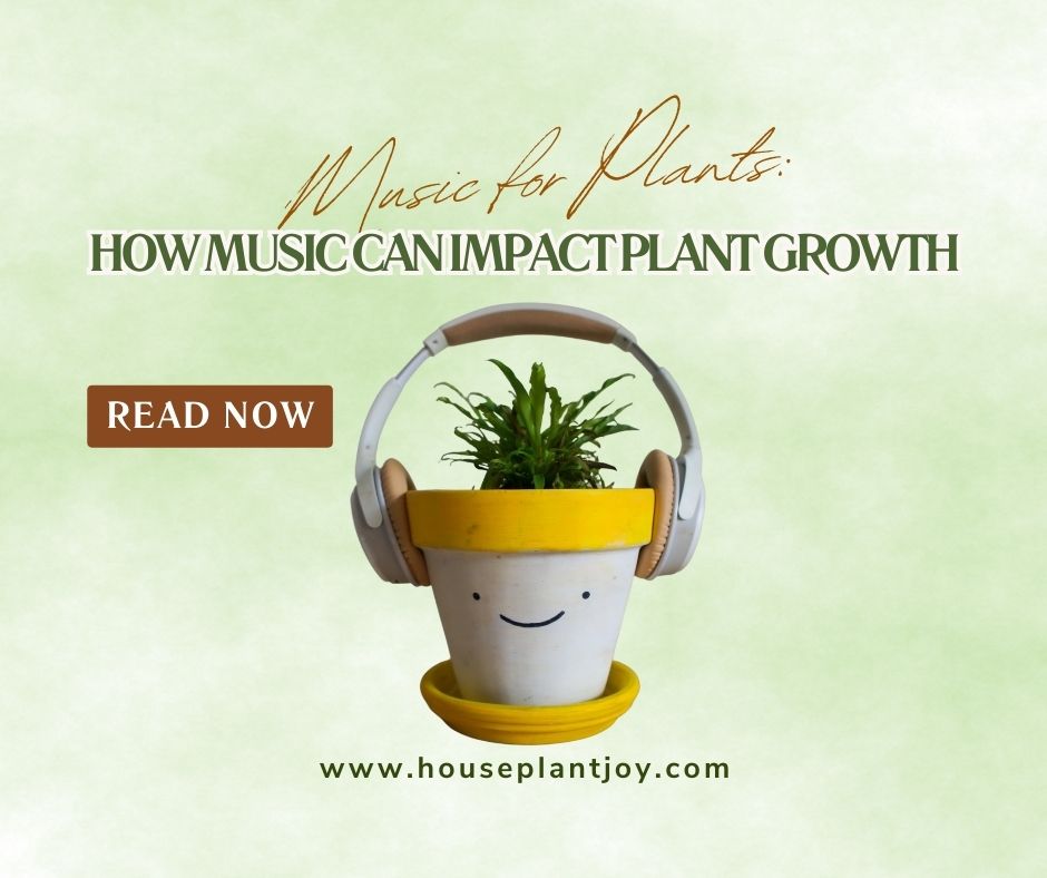 Music for Plants How Music Can Impact Plant Growth