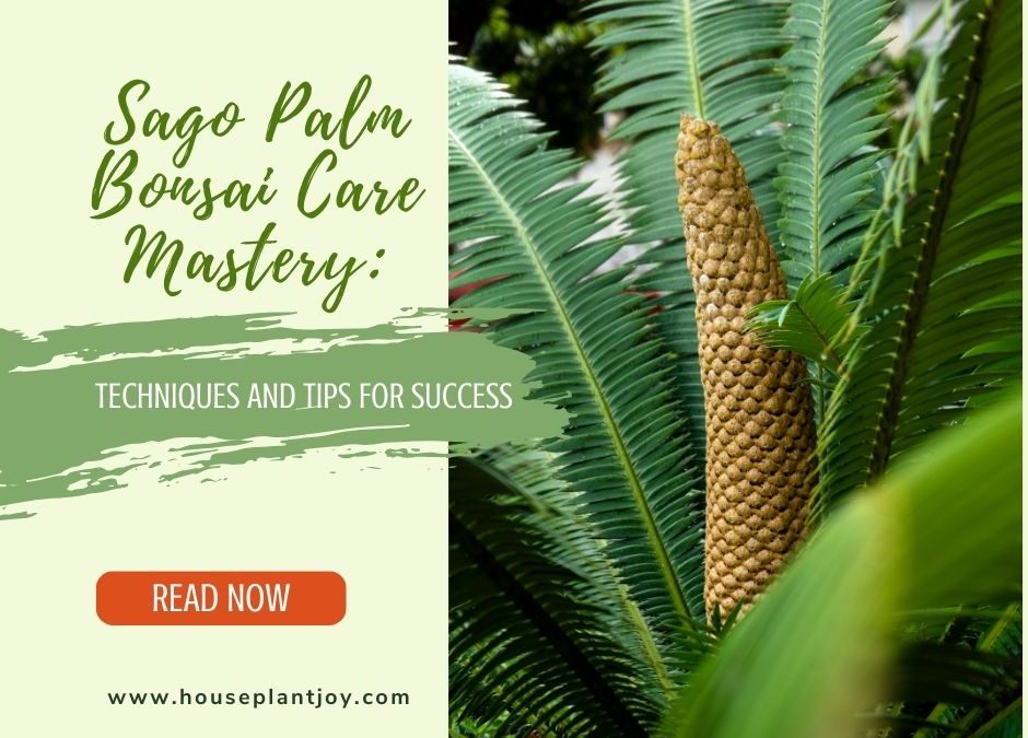Sago Palm Bonsai Care Mastery: Techniques and Tips for Success