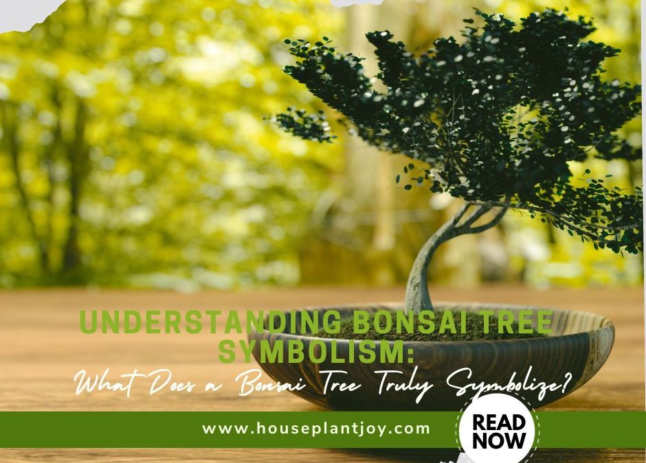 Understanding Bonsai Tree Symbolism: What Does a Bonsai Tree Truly Symbolize?