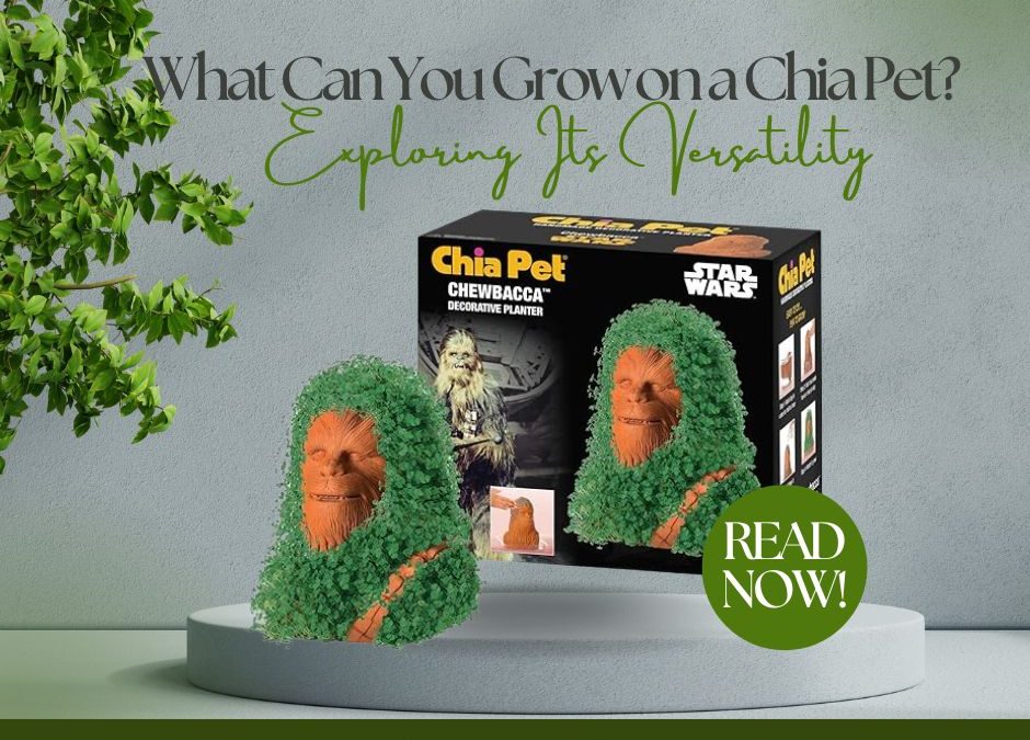 What Can You Grow on a Chia Pet? Exploring Its Versatility