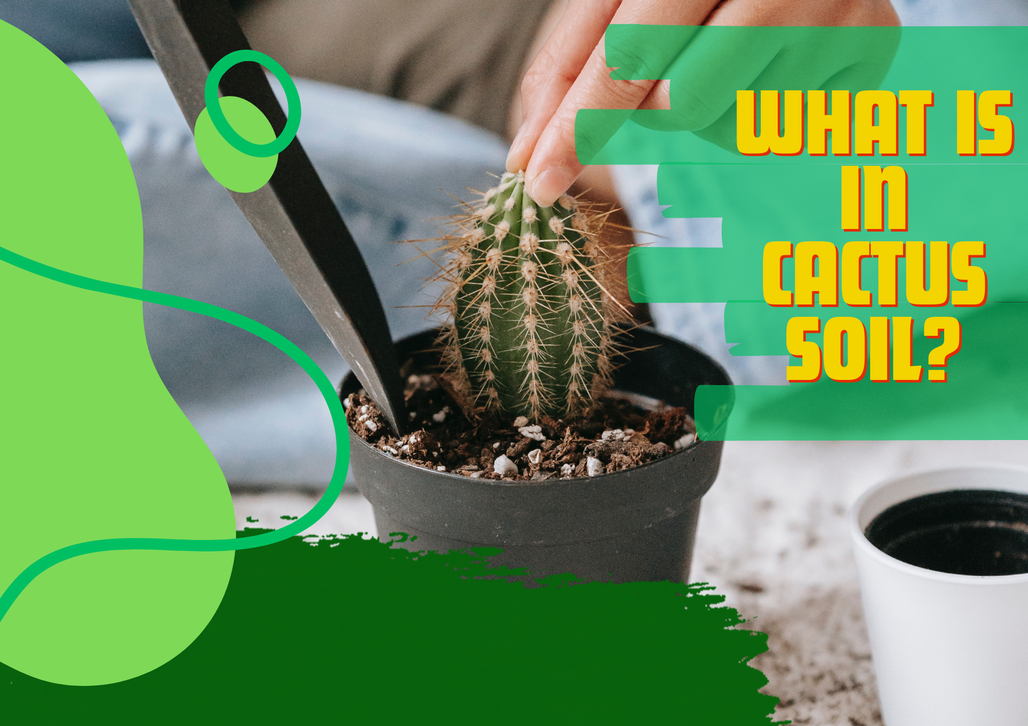 cactus mix soil, cactus potting soil