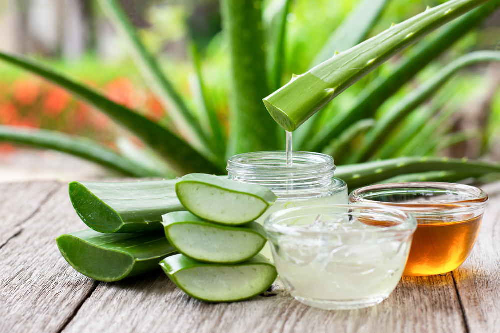 A person holding a bottle of aloe vera gel