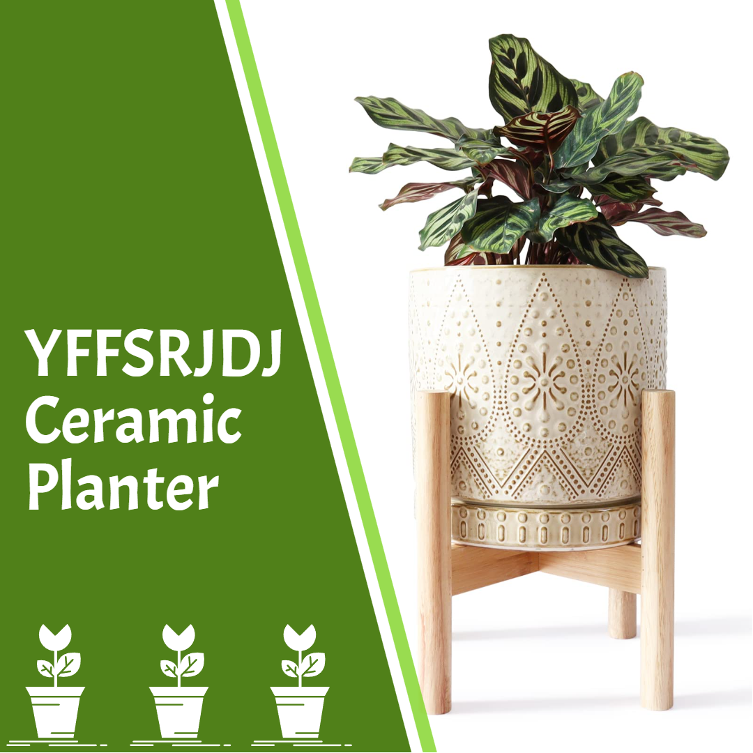 YFFSRJDJ 8" Ceramic Planter with Stand, Our Review - HouseplantJoy.com